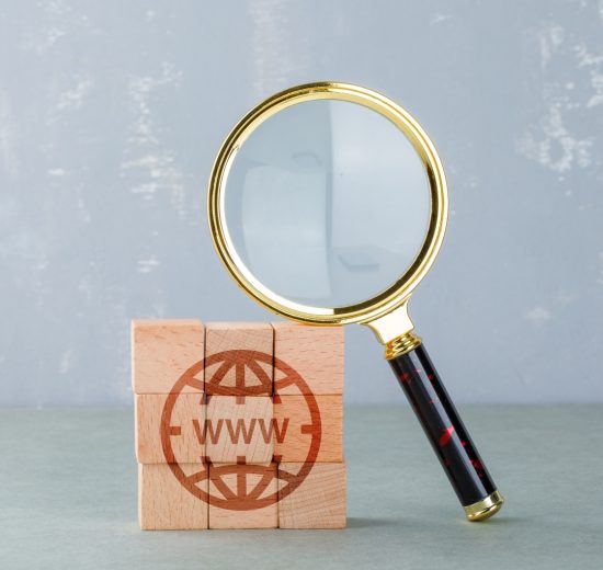 Domain Geçmişi Nasıl Kontrol Edilir