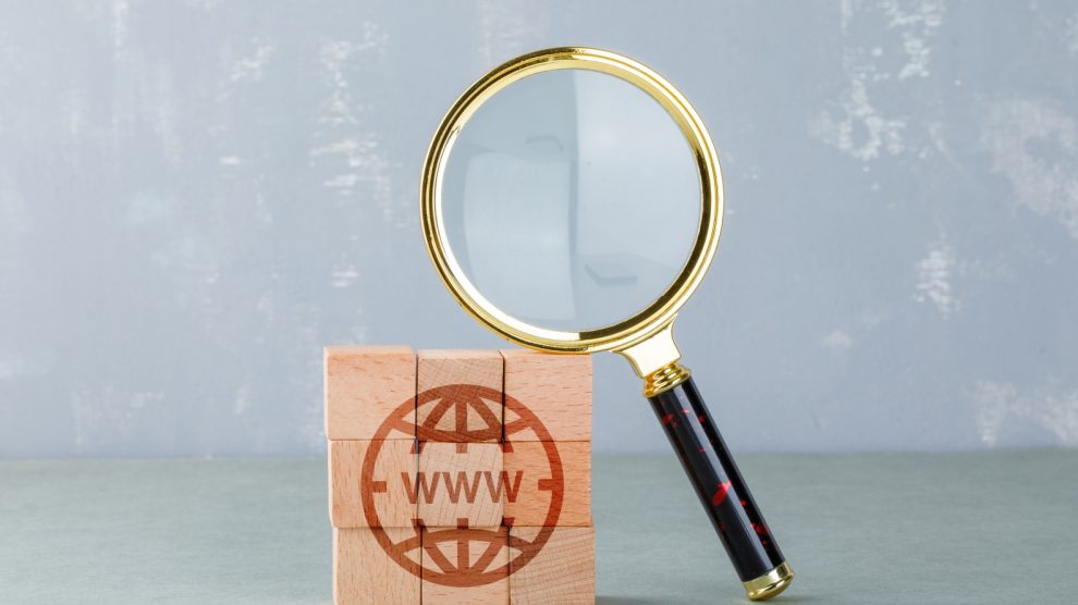 Domain Geçmişi Nasıl Kontrol Edilir