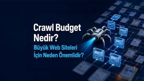 Crawl Butget Nedir?