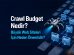 Crawl Butget Nedir?